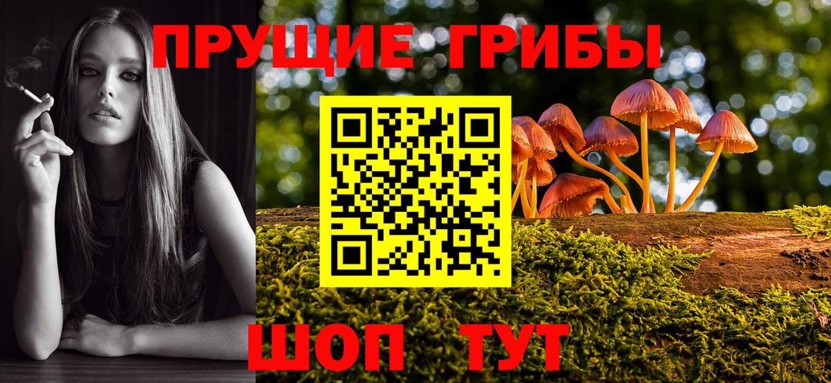Галлюциногенные грибы GOLDEN TEACHER  Псилоцибиновые грибы Cubensis  Вход с VPN  Печора 