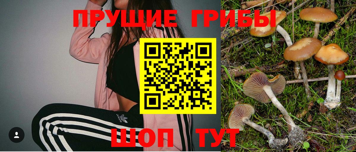 Псилоцибиновые грибы ЛСД Печора